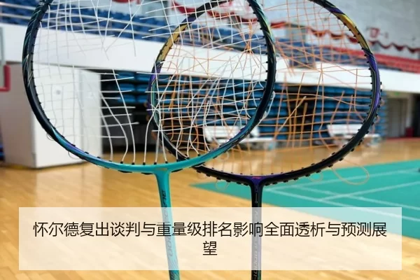 怀尔德复出谈判与重量级排名影响全面透析与预测展望