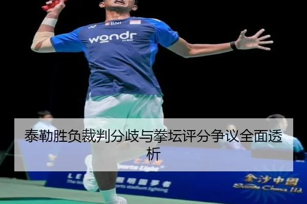 泰勒胜负裁判分歧与拳坛评分争议全面透析