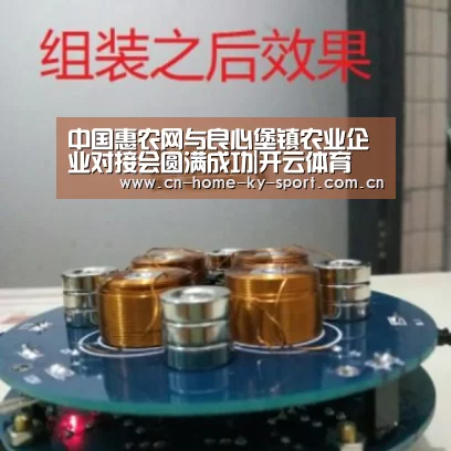 中国惠农网与良心堡镇农业企业对接会圆满成功|开云体育