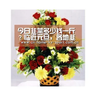 今日韭菜多少钱一斤？临近元旦，各地韭菜行情走势预测_开云体育(图2)
