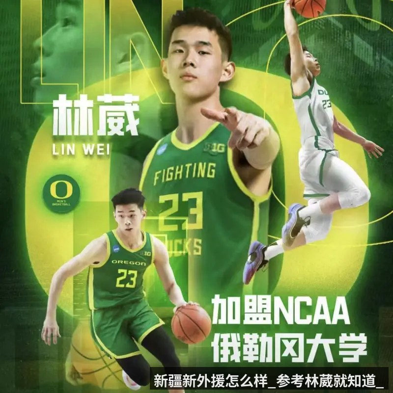 新疆新外援怎么样_参考林葳就知道_